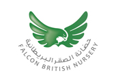 Falcon British Nursery Falcon British Nursery