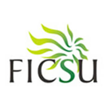 Ficsu Ficsu